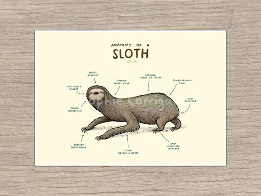Anatomy of a Sloth Signed Fine Art Print