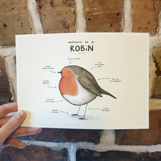 Anatomy of a Robin Signed Art Print
