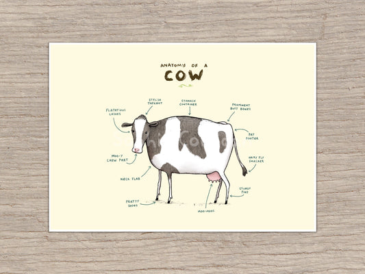 Anatomy of a Cow Signed Art Print