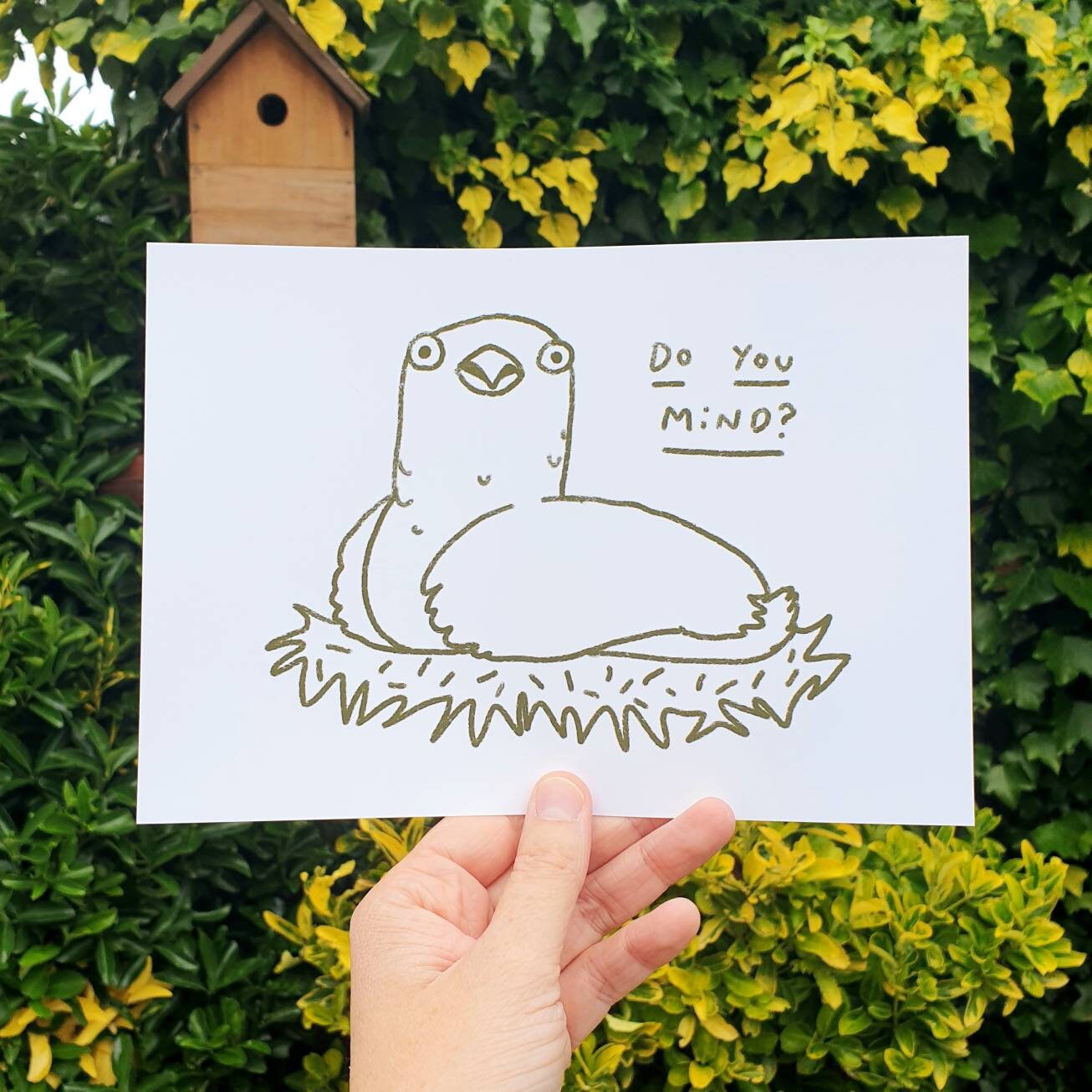 Outraged Bird Signed Art Print