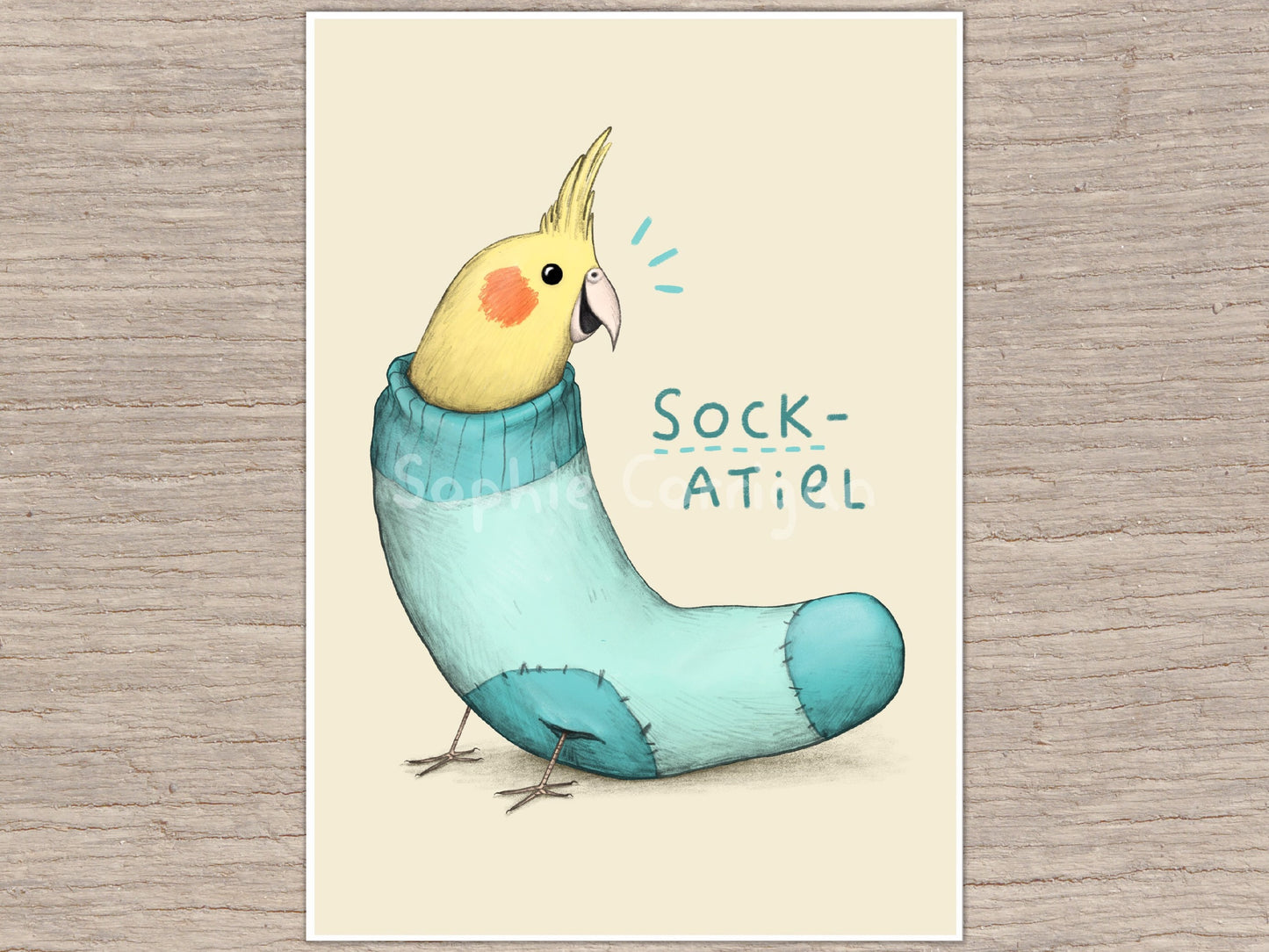 Sockatiel Sock Cockatiel Signed Fine Art Print