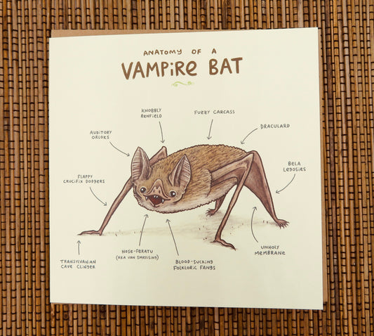 Anatomy Of A Vampire Bat Card
