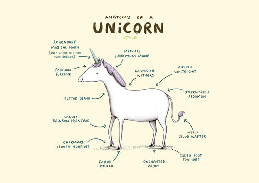 Anatomy Of A Unicorn A4 Signed Print Magical Horse