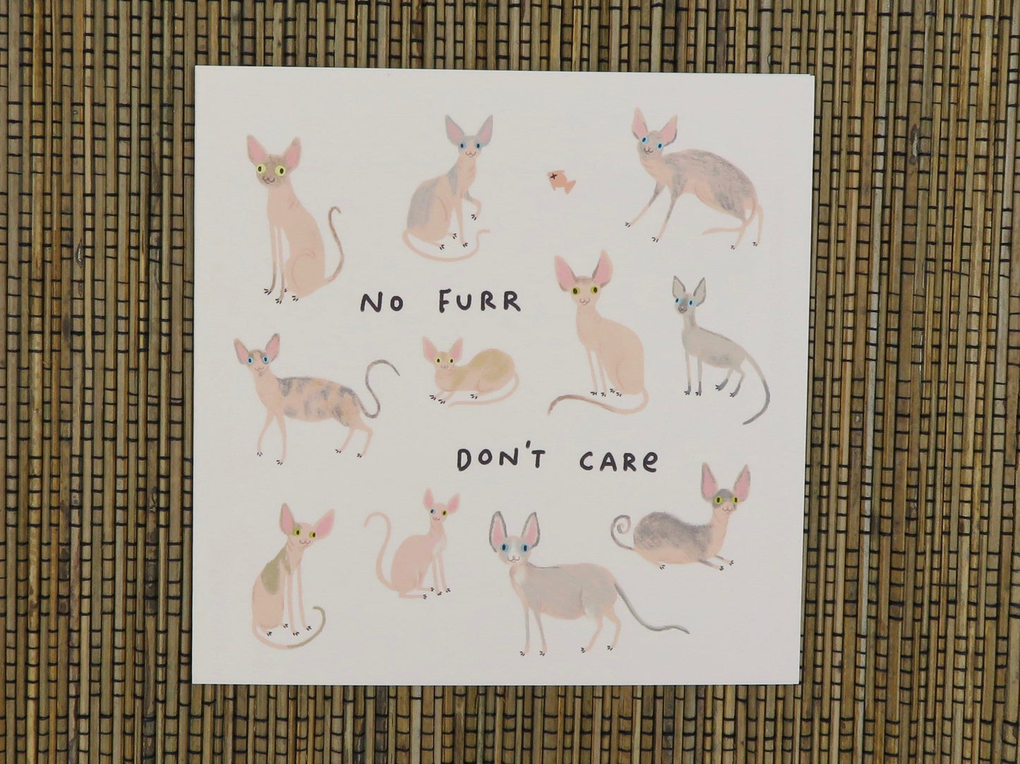 Sphynx Cats Card
