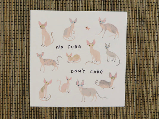 Sphynx Cats Card
