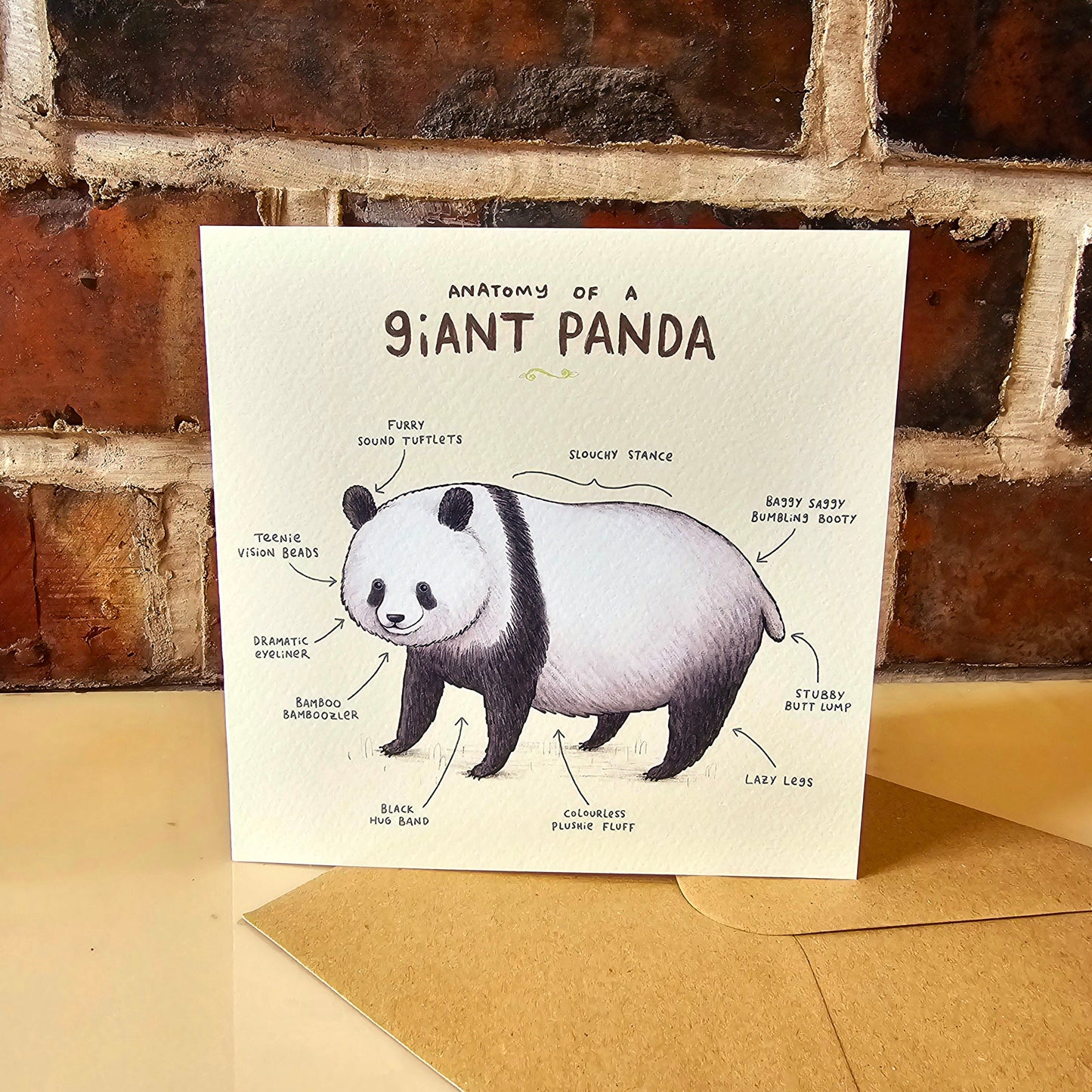 Anatomy Of A Giant Panda Card