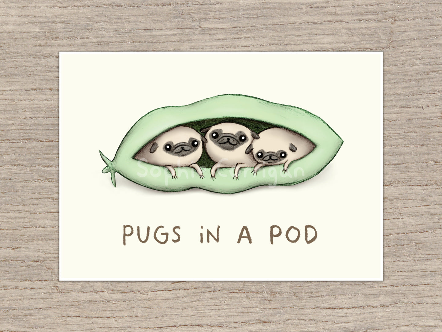 Pugs in a Pod Signed Art Print