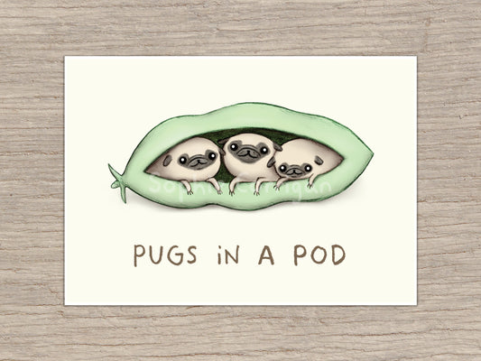 Pugs in a Pod Signed Art Print