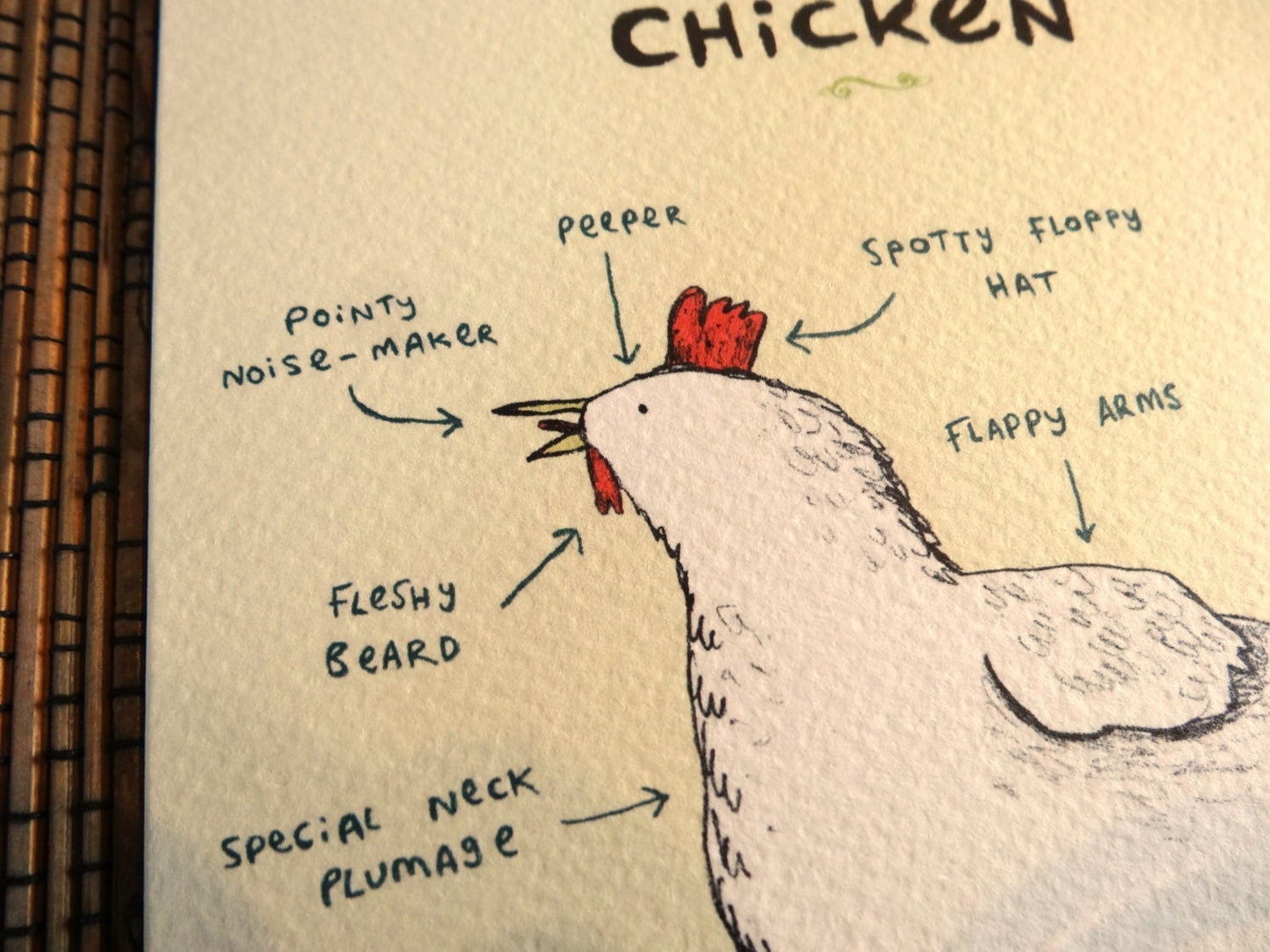 Anatomy Of A Chicken Card