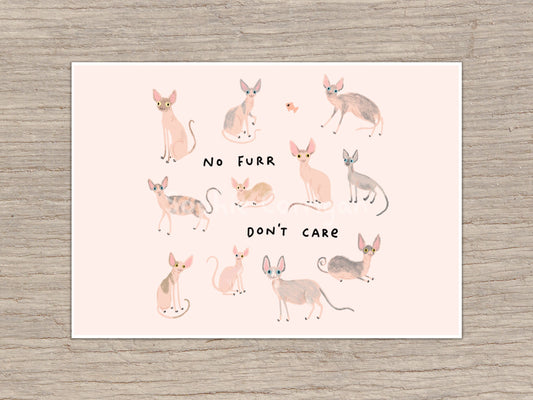 Sphynx Cats Signed Fine Art Print