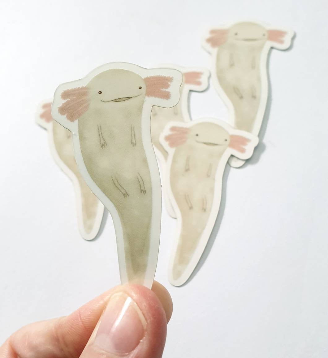 Floating Axolotl Transparent Background Vinyl Sticker
