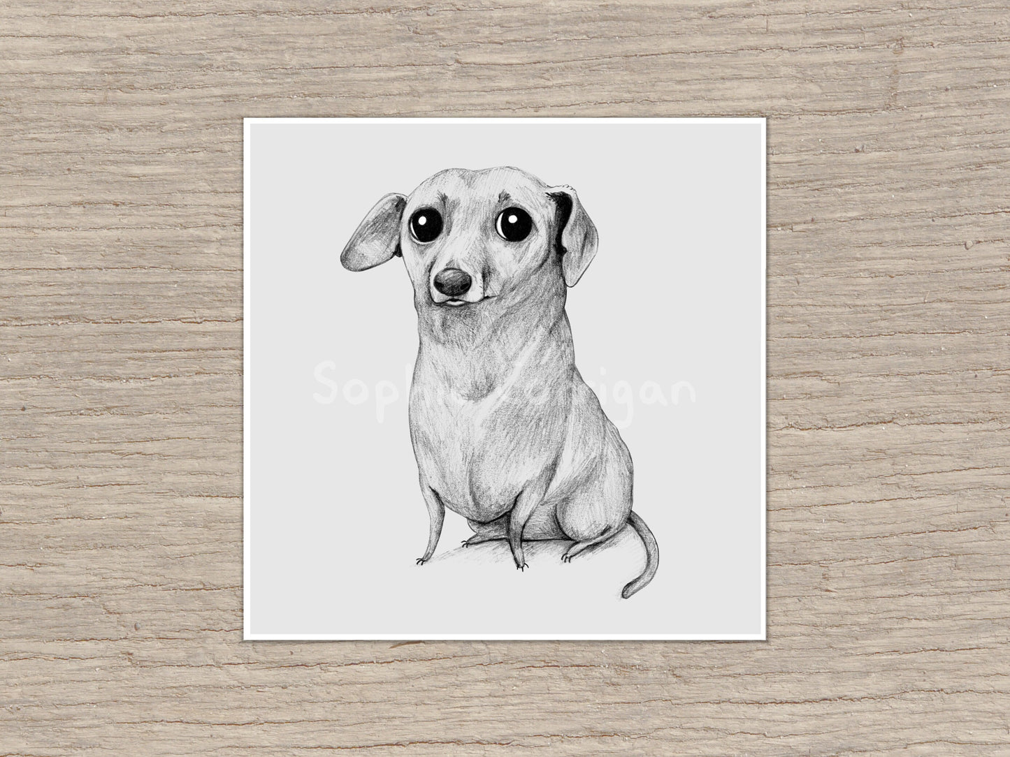 Monochrome Dachshund Portrait Signed Fine Art Print