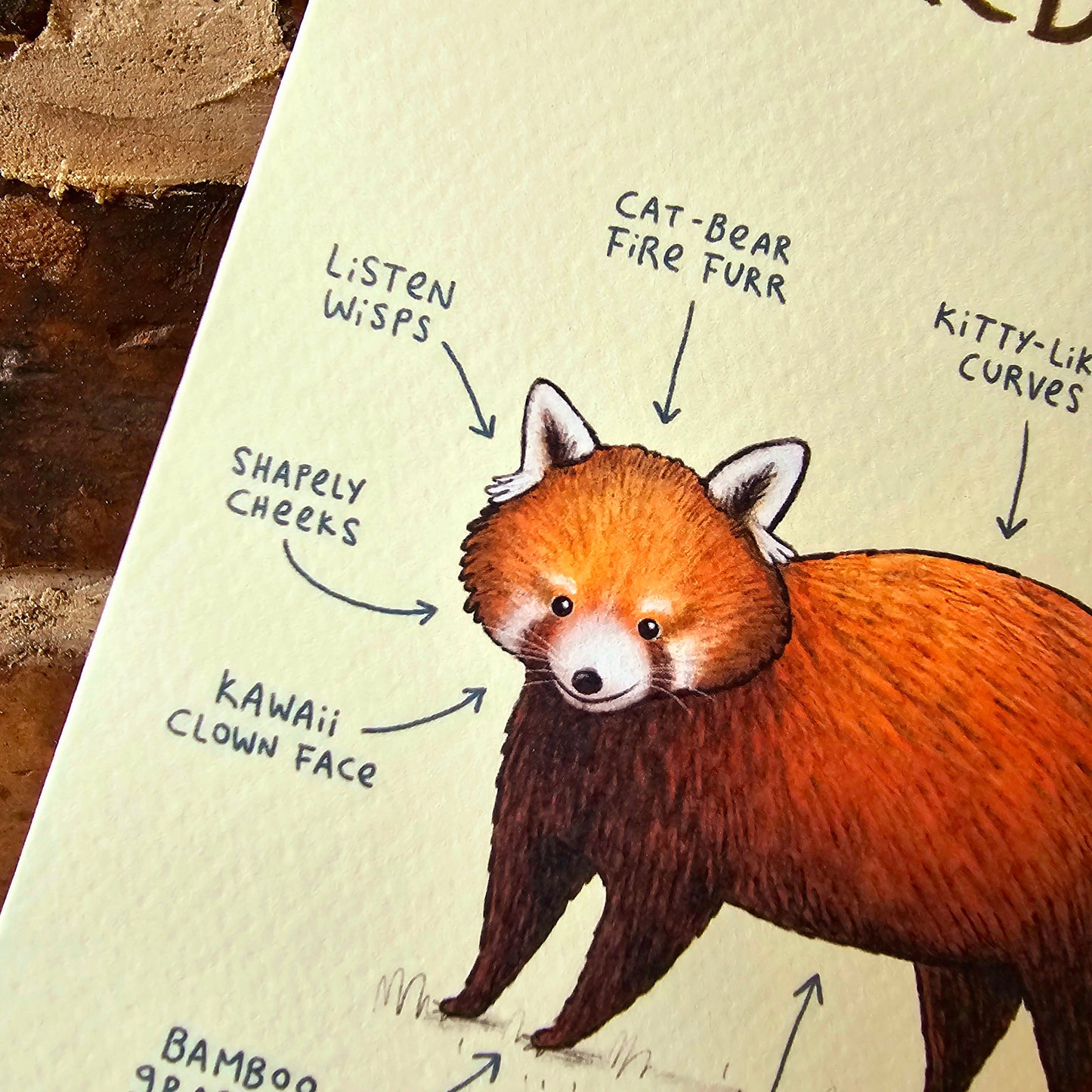 Anatomy Of A Red Panda Card