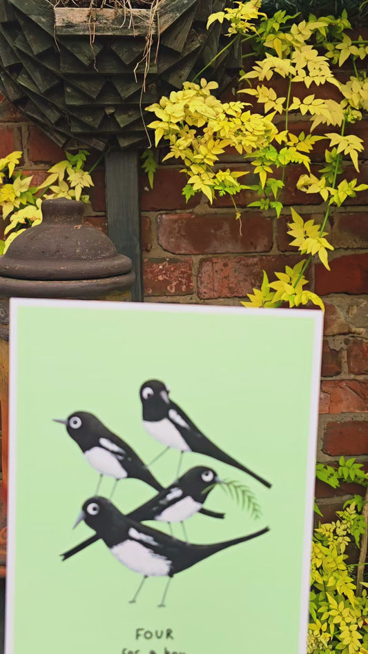 Four For a Boy Magpie Rhyme Signed Fine Art Print - New Baby Nursery Gift